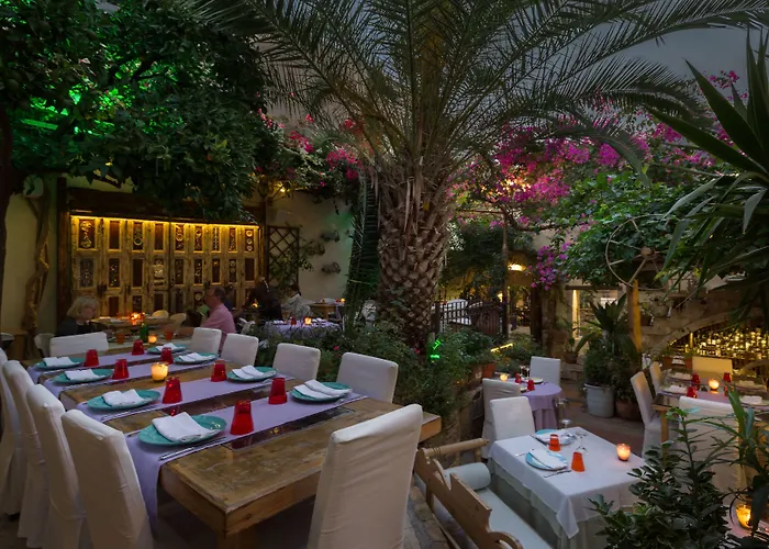 Avli Lounge Apartments